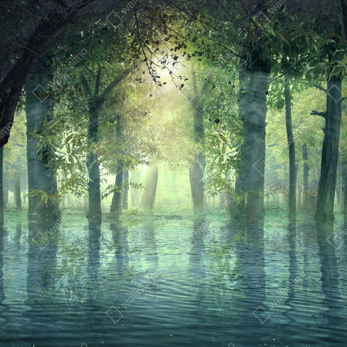 Poster verzauberter überfluteter wald im sonnenlicht • Poster bei Wallnifity® Poster verzauberter überfluteter wald im sonnenlicht • Poster bei Wallnifity®