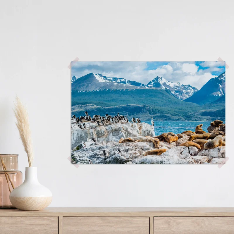 Poster seelöwen und seevögel an der felsküste Poster seelöwen und seevögel an der felsküste