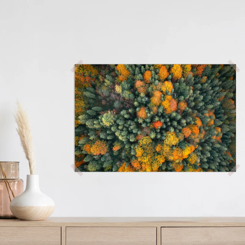 Poster Orangefarbene und rote Herbstbäume im bunten Wald • Poster bei Wallnifity® Poster Orangefarbene und rote Herbstbäume im bunten Wald • Poster bei Wallnifity®