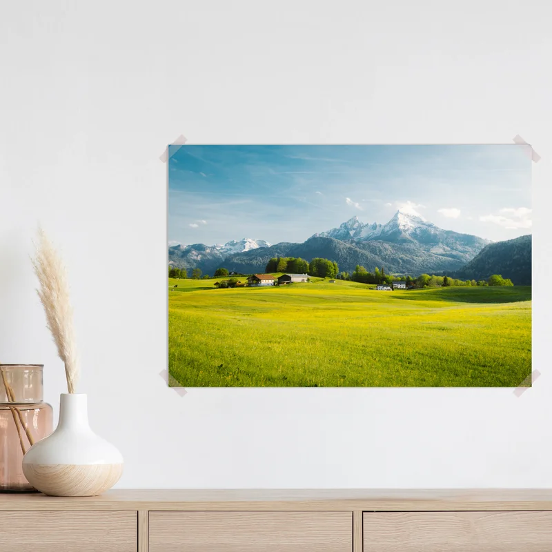 Poster alpwiese unter schneebedeckten gipfeln Poster alpwiese unter schneebedeckten gipfeln