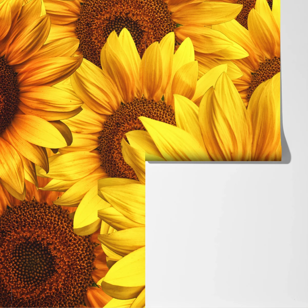 Fototapete goldene sonnenblumen Fototapete goldene sonnenblumen