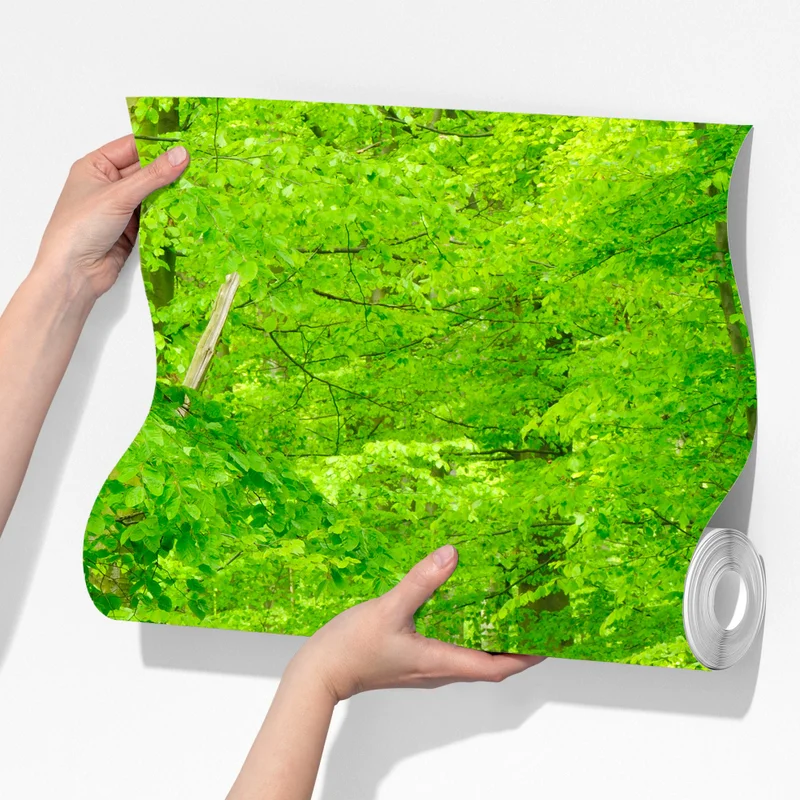 Fototapete ruhiger waldweg im frühling Fototapete ruhiger waldweg im frühling