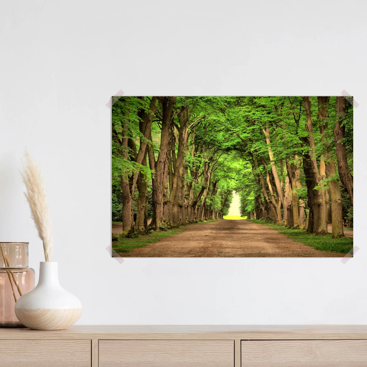 Poster sonnige baumallee im wald • Poster bei Wallnifity® Poster sonnige baumallee im wald • Poster bei Wallnifity®