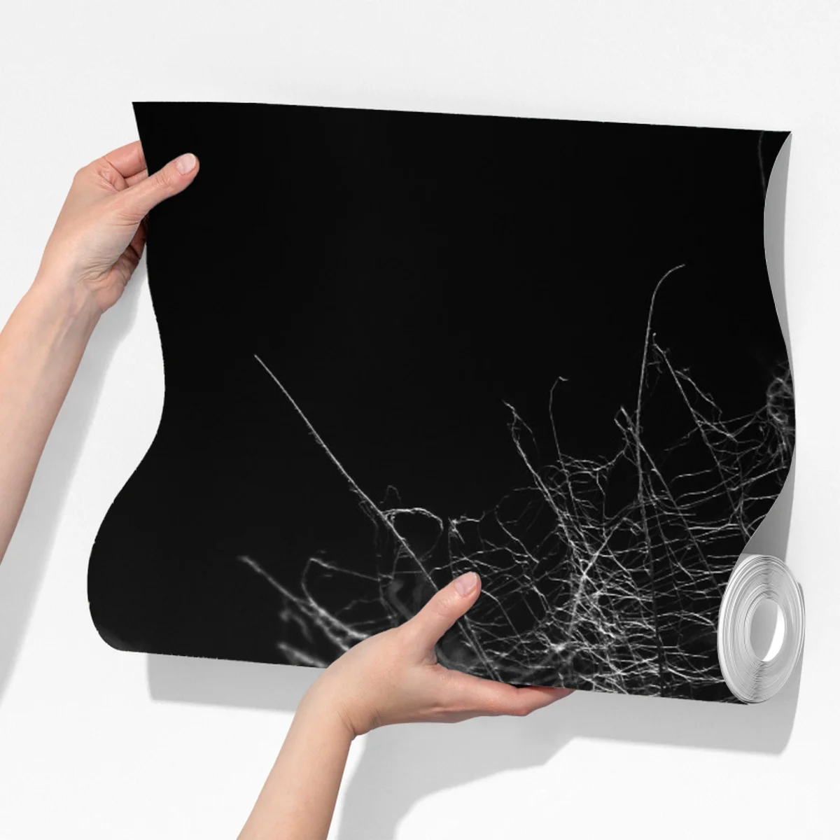 Fototapeta delikatny puch dmuchawca w monochromie Fototapeta delikatny puch dmuchawca w monochromie