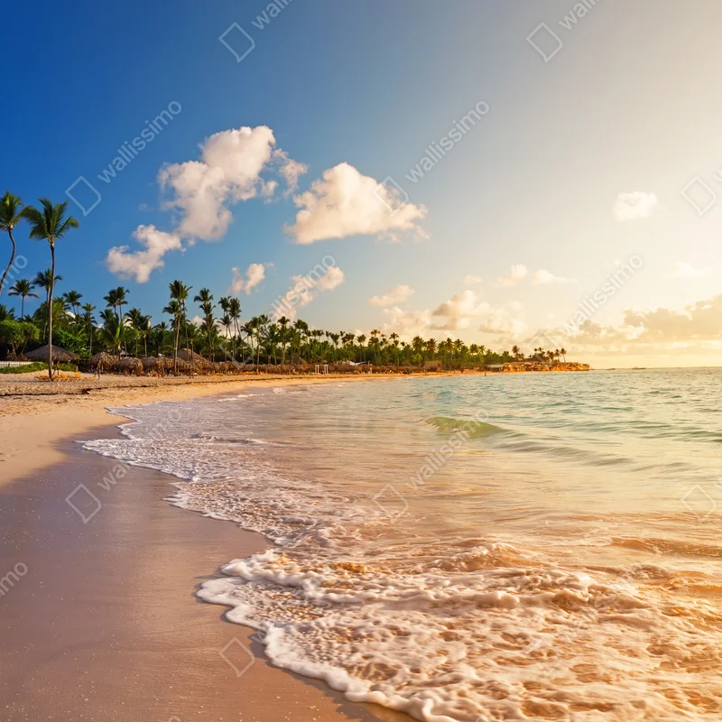 Naklejka na okno tropikalny zachód słońca na plaży z sylwetkami palm Naklejka na okno tropikalny zachód słońca na plaży z sylwetkami palm