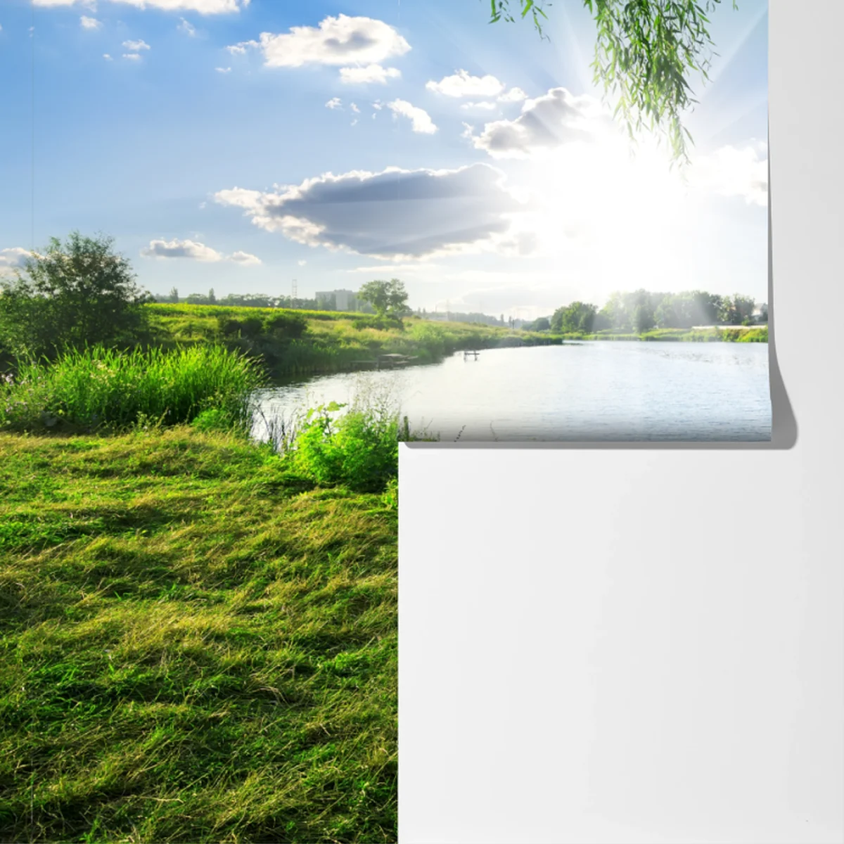 Fototapete sonnenbeschienenes flussufer mit üppigem grün Fototapete sonnenbeschienenes flussufer mit üppigem grün