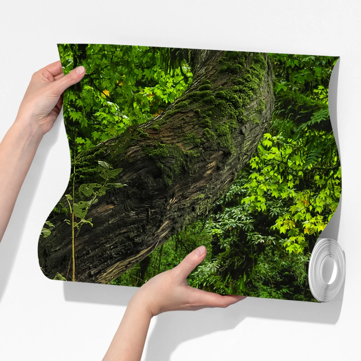 Fototapete moosiger waldbach panorama Fototapete moosiger waldbach panorama