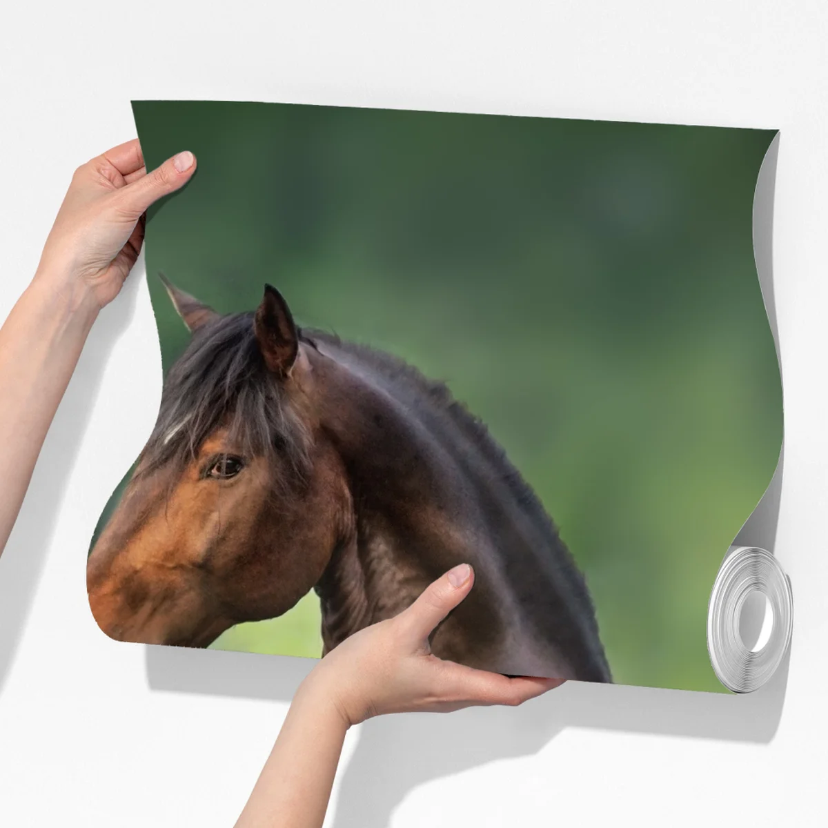 Fototapete brauner hengst bäumt sich in lupinenwiese auf Fototapete brauner hengst bäumt sich in lupinenwiese auf