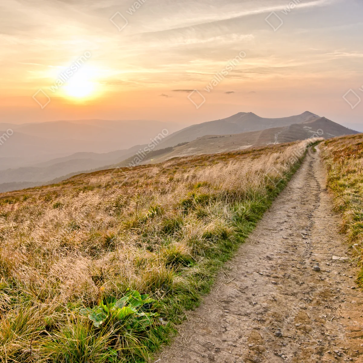 Tischaufkleber und Schreibtischaufkleber wanderpfad bei sonnenuntergang in Bieszczady Tischaufkleber und Schreibtischaufkleber wanderpfad bei sonnenuntergang in Bieszczady