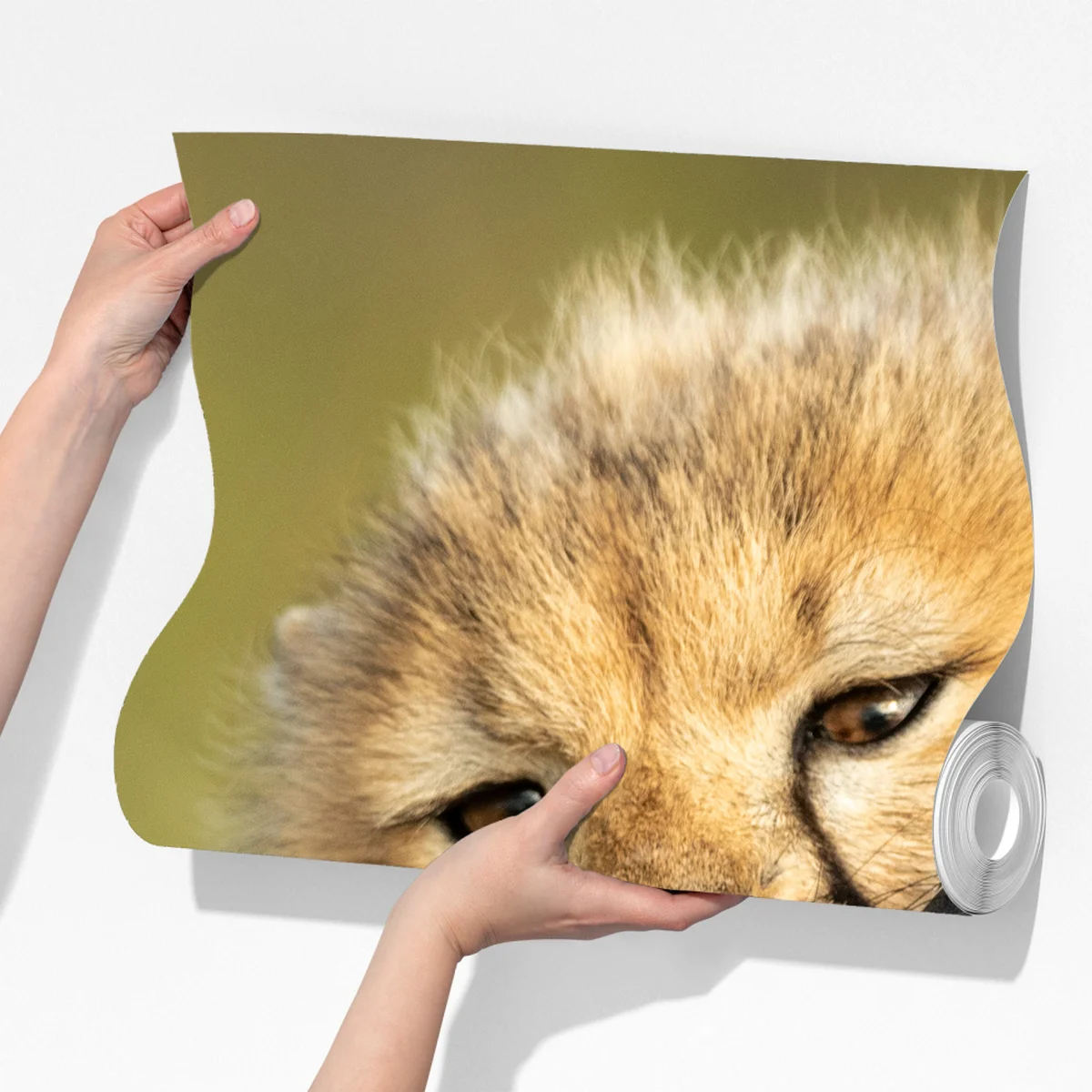 Fototapeta matka geparda przytulająca młodego Fototapeta matka geparda przytulająca młodego