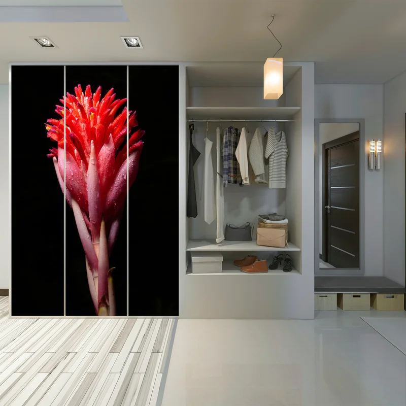 Schrankaufkleber leuchtende rosa blüte vor schwarzem hintergrund