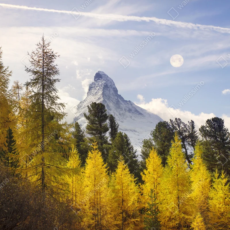 Repositionierbarer Aufkleber goldene lärchen und Matterhorn Repositionierbarer Aufkleber goldene lärchen und Matterhorn