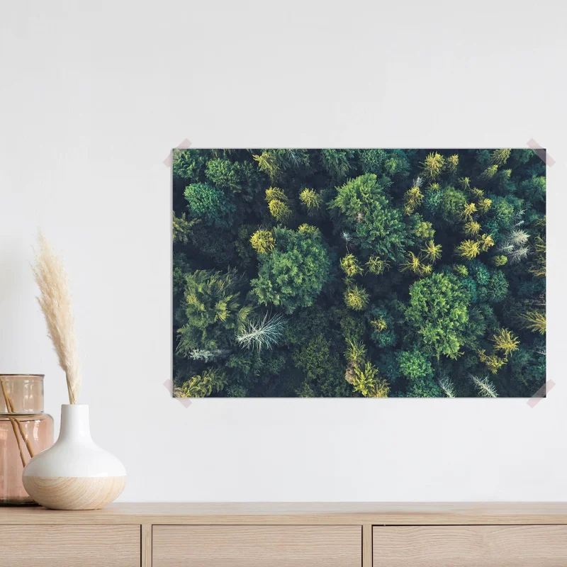 Poster Baumwipfel in einem geheimnisvollen Laub-Nadelmischwald aus der Vogelperspektive. Vogelperspektive eines bunten Waldes bei Sonnenuntergang. • Poster bei Wallnifity® Poster Baumwipfel in einem geheimnisvollen Laub-Nadelmischwald aus der Vogelperspektive. Vogelperspektive eines bunten Waldes bei Sonnenuntergang. • Poster bei Wallnifity®