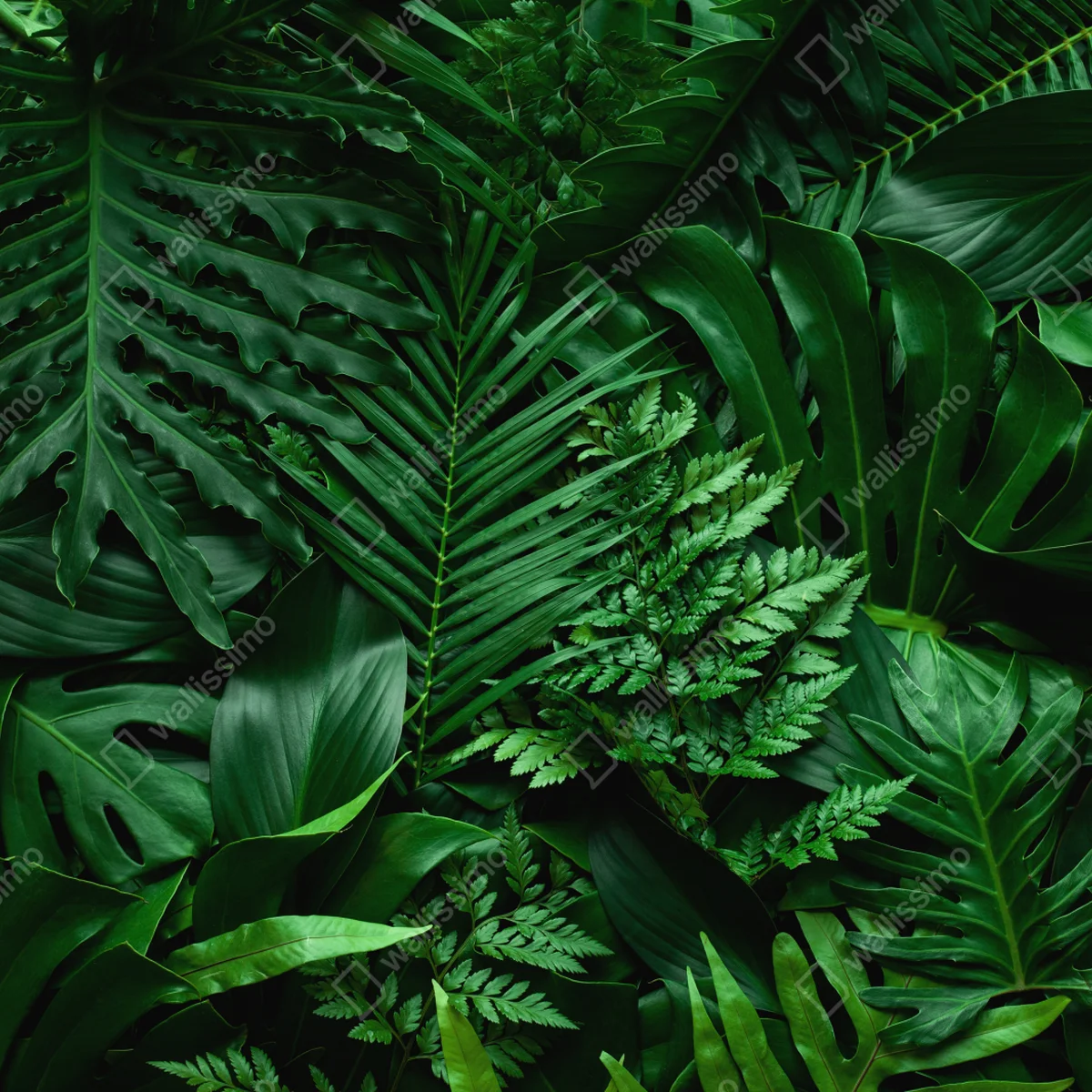 Laptop-Aufkleber üppige tropische blätter Laptop-Aufkleber üppige tropische blätter