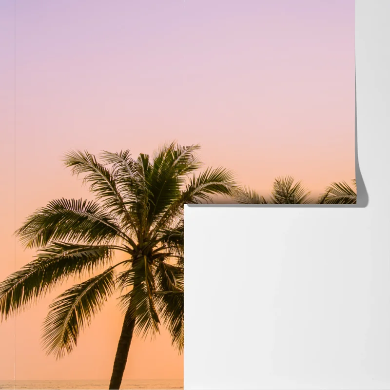 Fototapete tropischer palmsonnenuntergang am strand Fototapete tropischer palmsonnenuntergang am strand