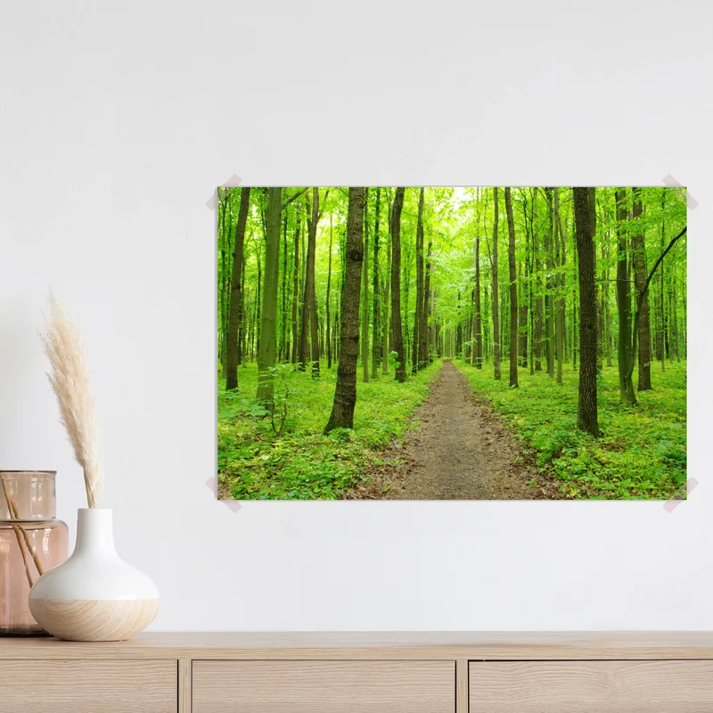 Poster ruhiger grüner waldweg Poster ruhiger grüner waldweg