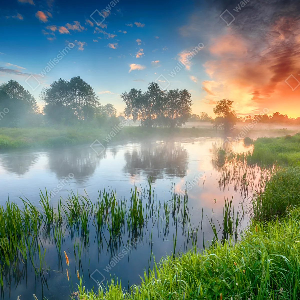 Leinwandbild nebliger fluss bei sonnenaufgang über grünen ufern Leinwandbild nebliger fluss bei sonnenaufgang über grünen ufern