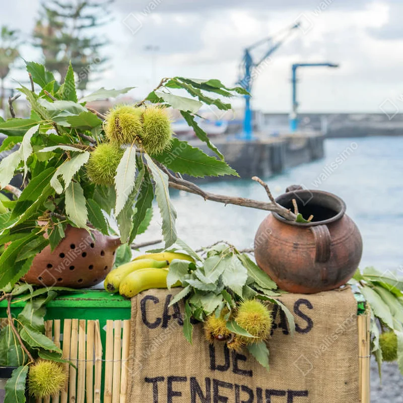 Leinwandbild Kastanien aus Teneriffa • Leinwandbilder bei Wallnifity® Leinwandbild Kastanien aus Teneriffa • Leinwandbilder bei Wallnifity®