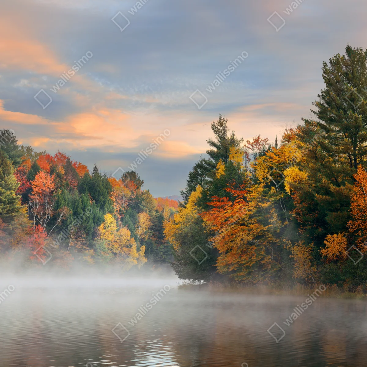 Laptop-Aufkleber nebliger herbstmorgen in Stowe Laptop-Aufkleber nebliger herbstmorgen in Stowe