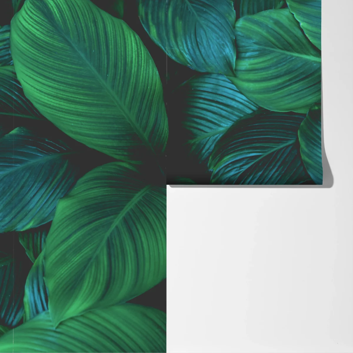 Fototapete üppige tropische blätter Fototapete üppige tropische blätter