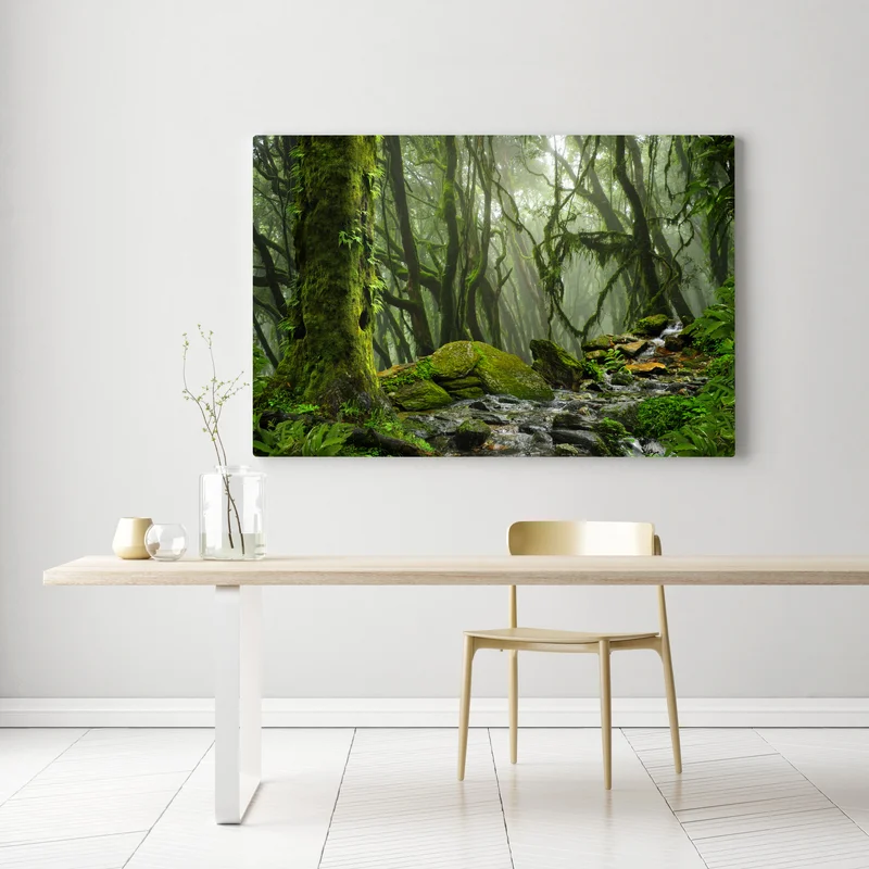 Leinwandbild moosiger wald mit bach im nebel Leinwandbild moosiger wald mit bach im nebel