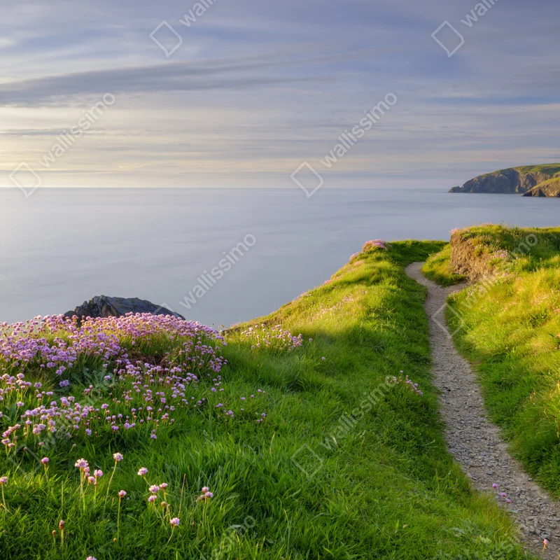 Poster Ceibwr Bay küstenpfad bei dämmerung Poster Ceibwr Bay küstenpfad bei dämmerung