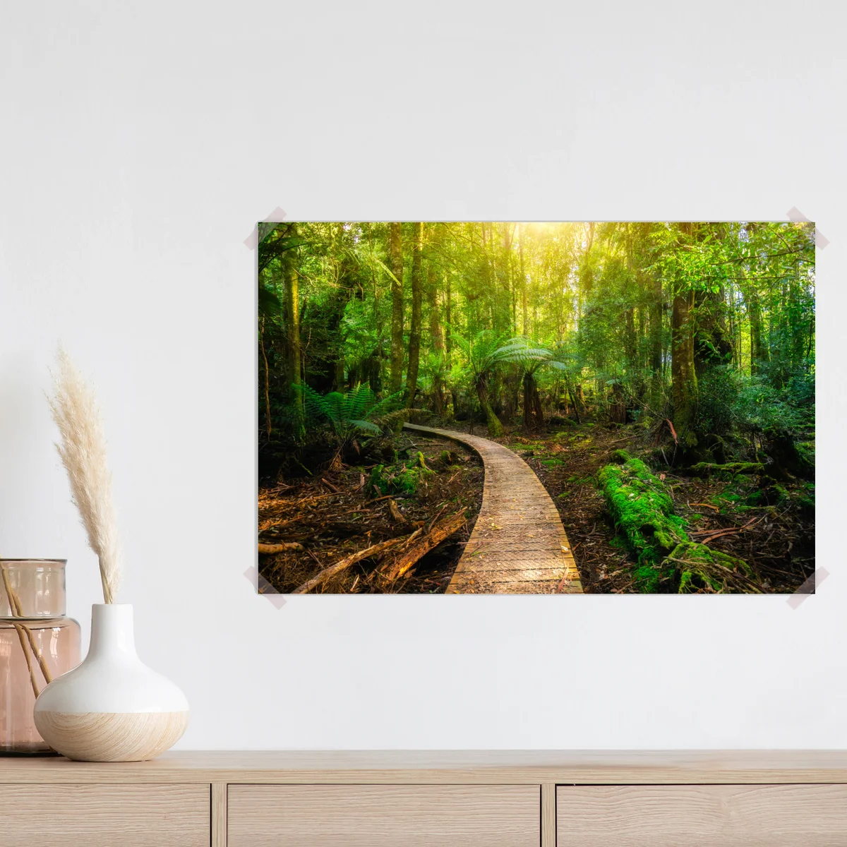 Poster sonniger steg im regenwald von Tasmanien • Poster bei Wallnifity® Poster sonniger steg im regenwald von Tasmanien • Poster bei Wallnifity®