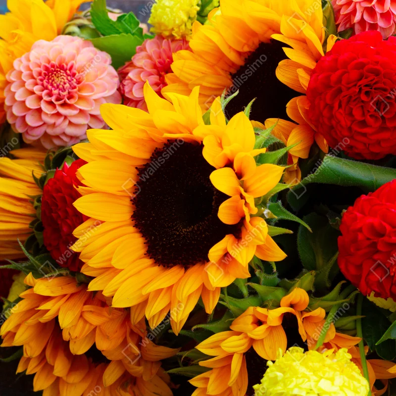 Laptop-Aufkleber nahaufnahme sonnenblumen- und dahlienstrauß Laptop-Aufkleber nahaufnahme sonnenblumen- und dahlienstrauß
