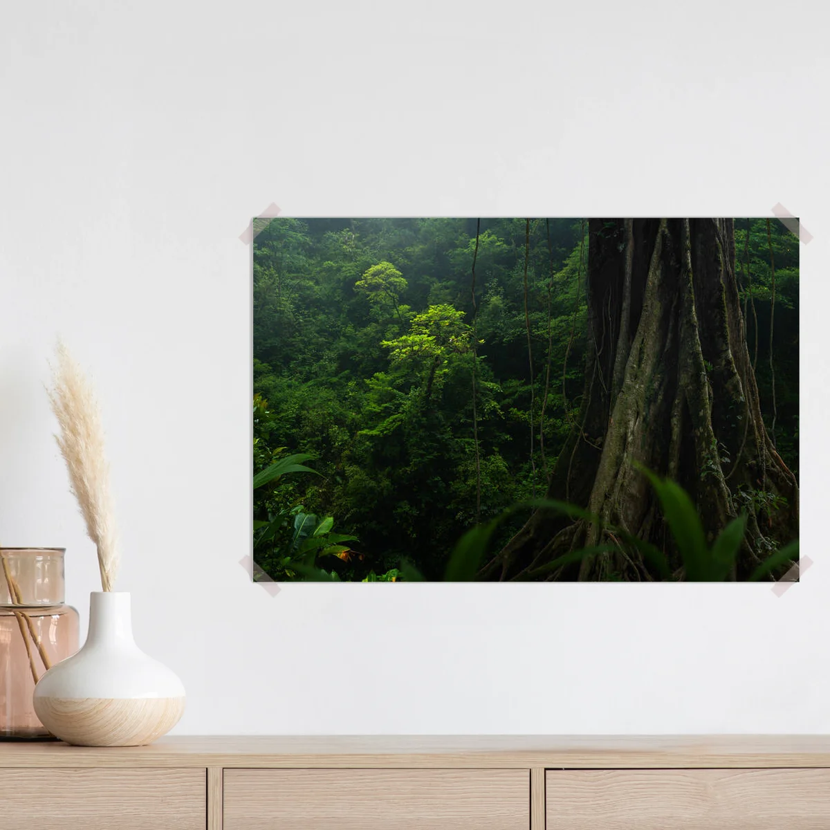 Poster Tropischer Regenwald in Costa Rica • Poster bei Wallnifity® Poster Tropischer Regenwald in Costa Rica • Poster bei Wallnifity®