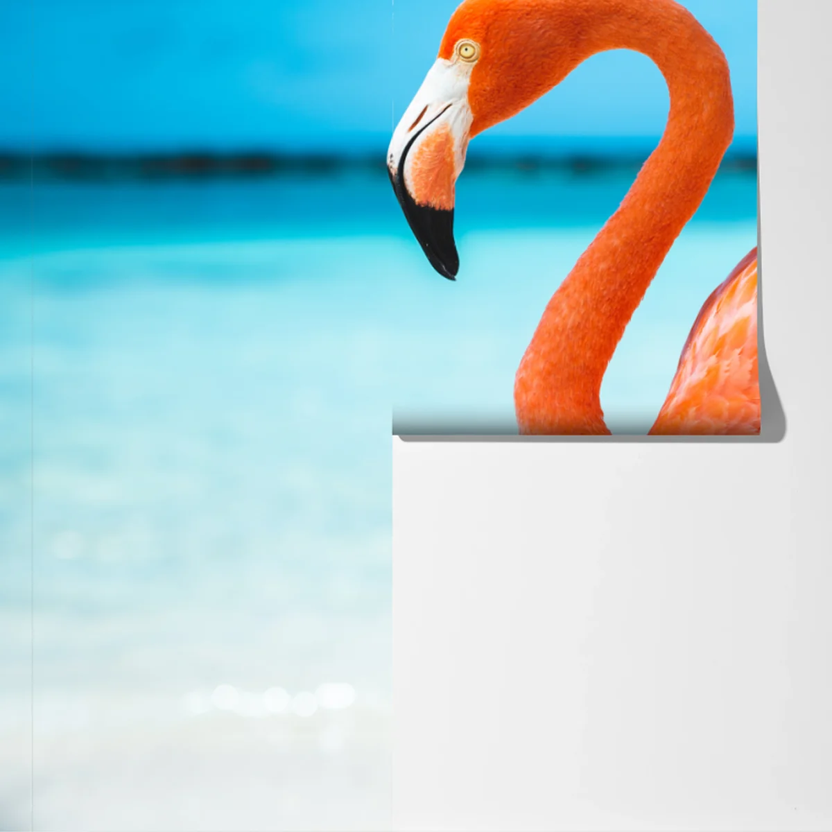 Fototapete leuchtender rosa flamingo am türkisfarbenen strand Fototapete leuchtender rosa flamingo am türkisfarbenen strand