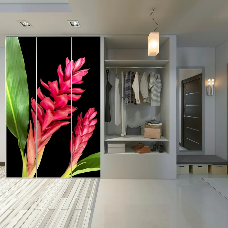 Schrankaufkleber leuchtende zier-ingwer-blüte auf schwarzem hintergrund