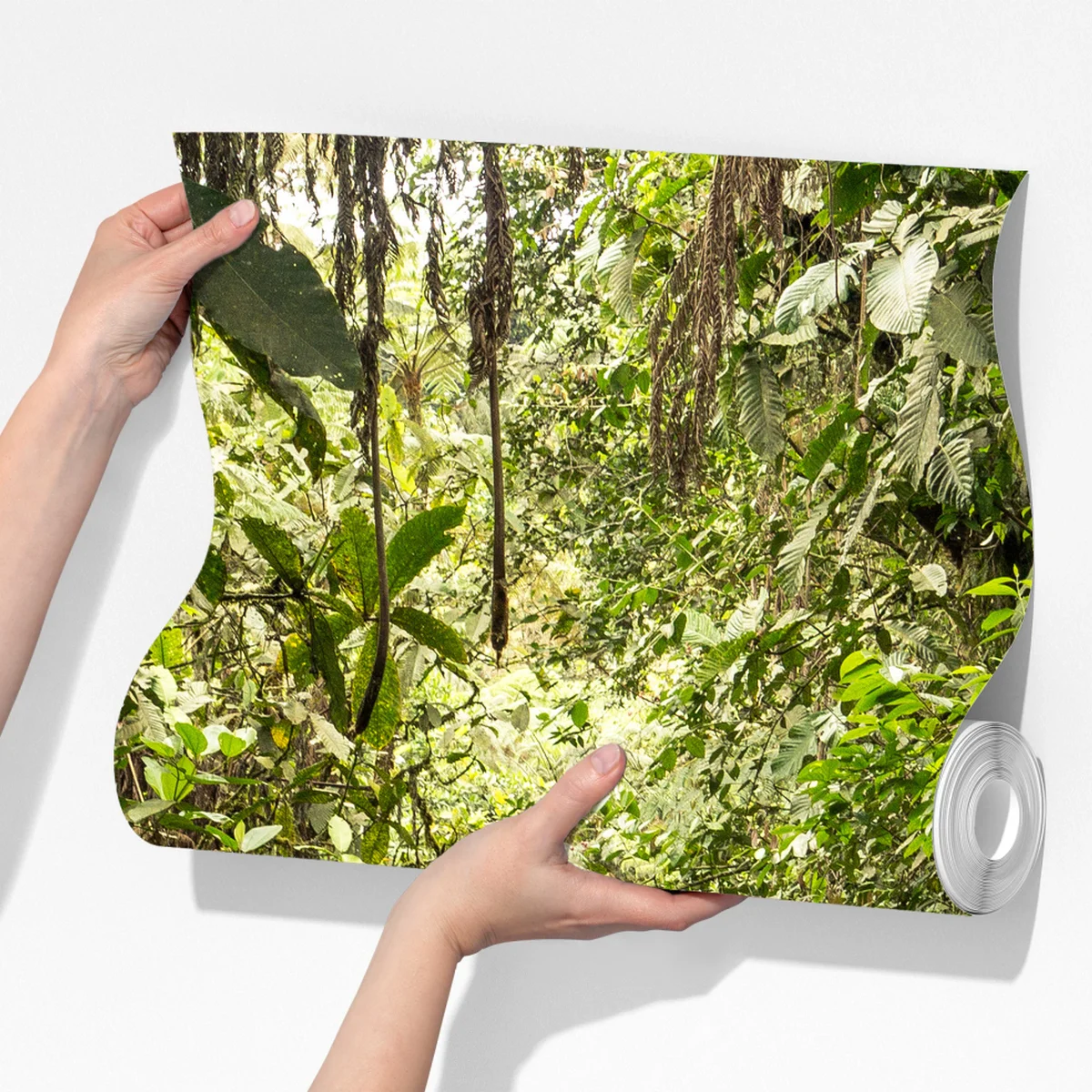 Fototapete pfad durch üppigen dschungel Fototapete pfad durch üppigen dschungel