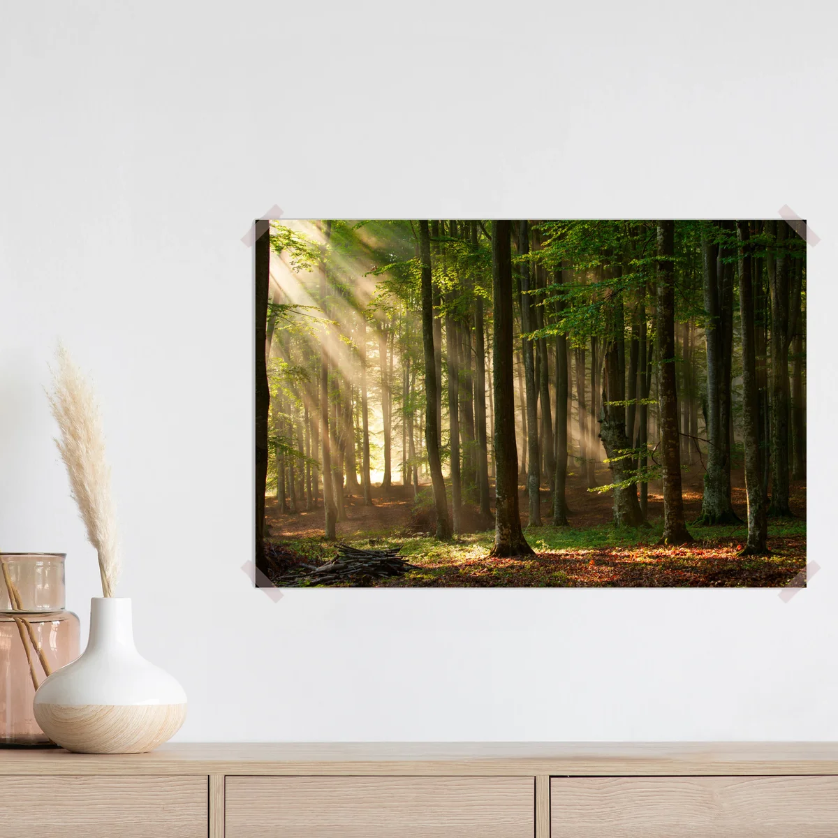 Poster morgendliches licht im buchenwald Poster morgendliches licht im buchenwald