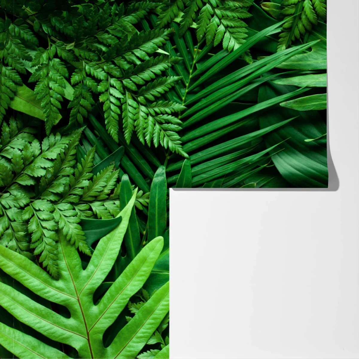 Fototapete üppiges grünes blättermuster Fototapete üppiges grünes blättermuster