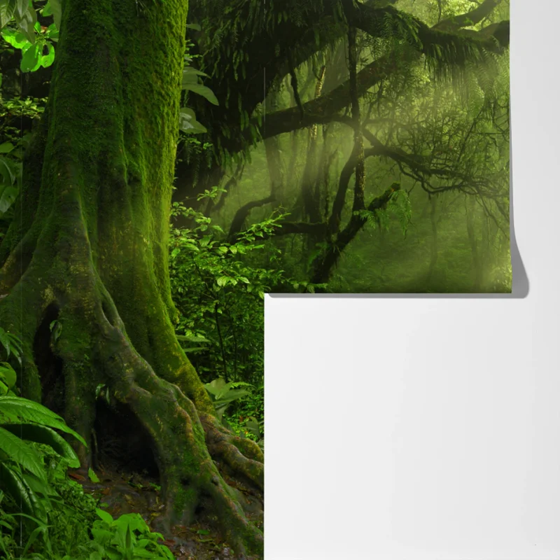 Fototapete sonnenbeschienener moosiger waldpfad Fototapete sonnenbeschienener moosiger waldpfad