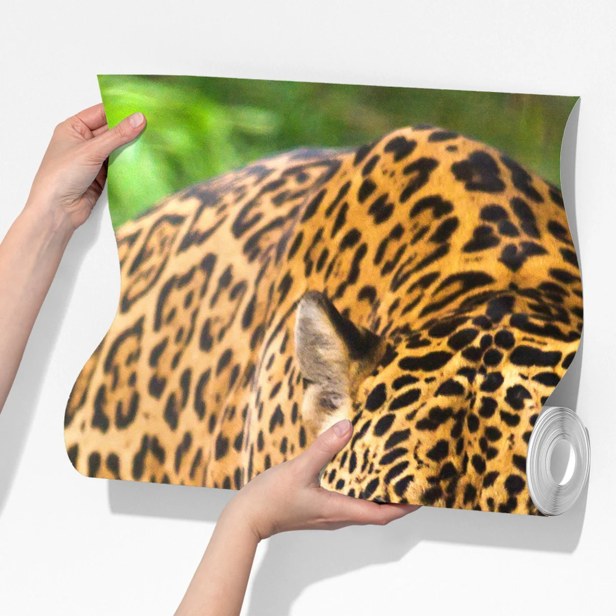 Fototapete majestätischer jaguar in freier wildbahn Fototapete majestätischer jaguar in freier wildbahn