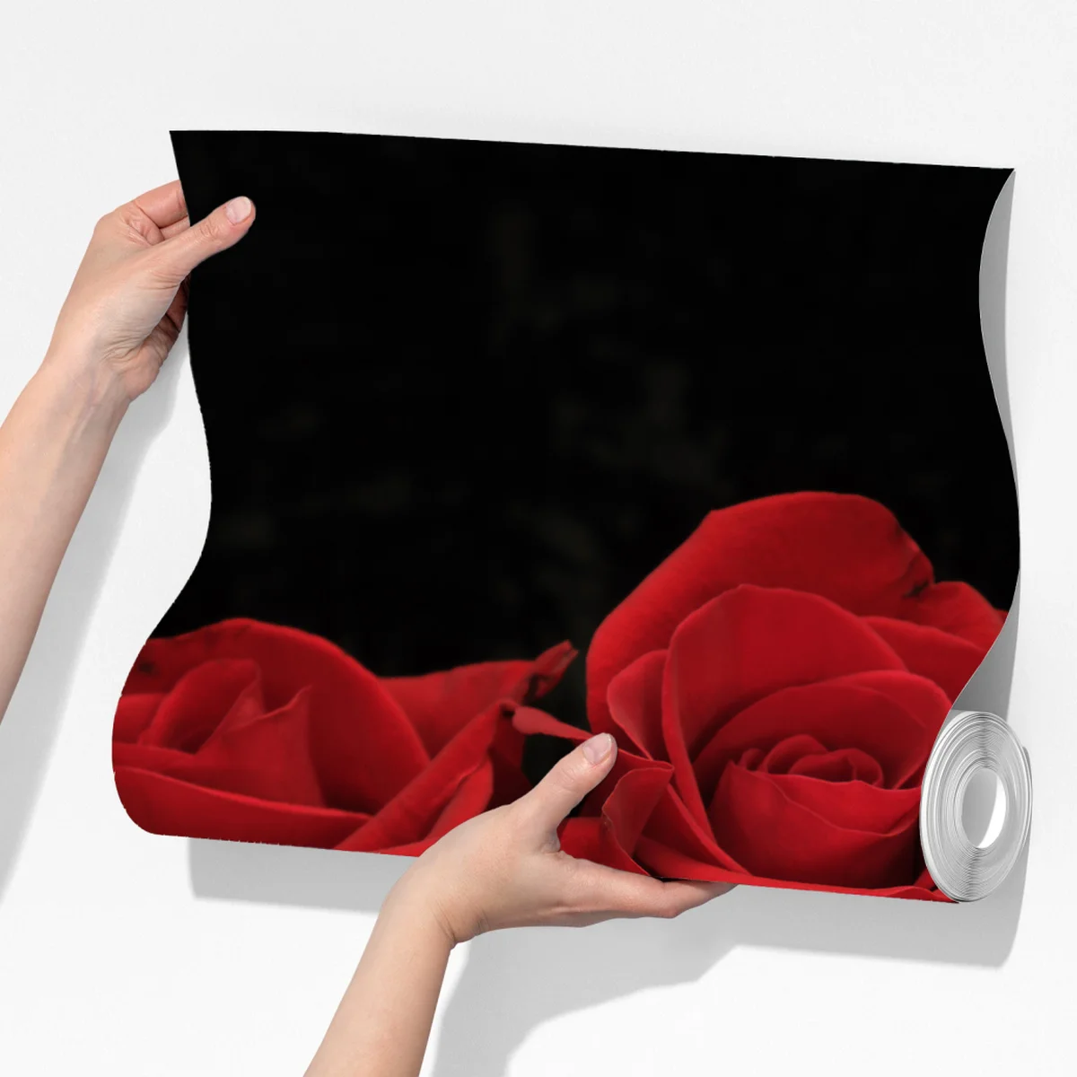 Fototapete rote rosen vor schwarzem hintergrund Fototapete rote rosen vor schwarzem hintergrund