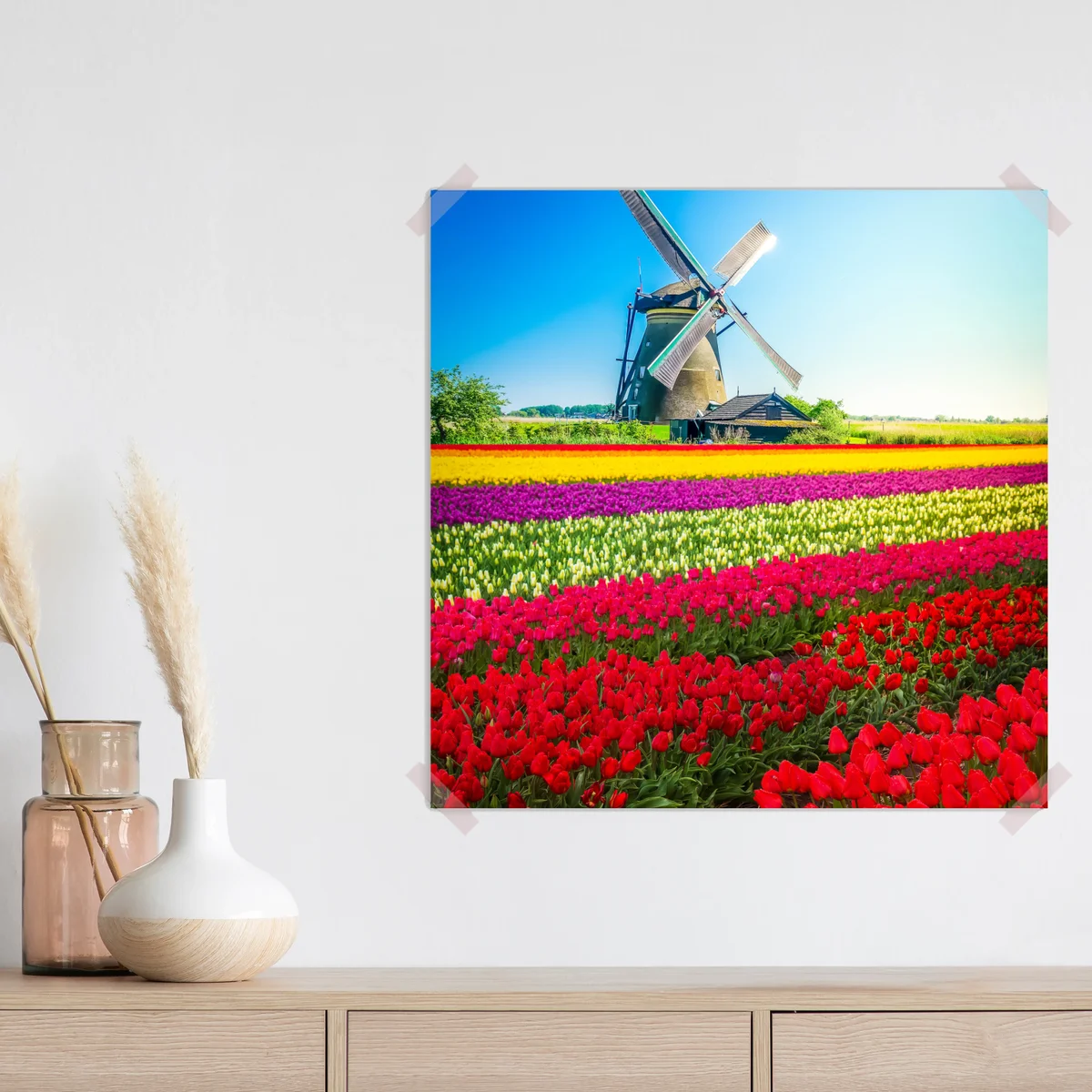 Poster bunte tulpenfelder mit traditioneller windmühle • Poster bei Wallnifity® Poster bunte tulpenfelder mit traditioneller windmühle • Poster bei Wallnifity®