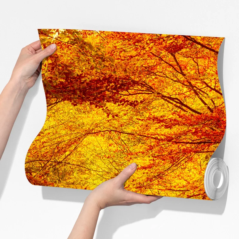 Fototapeta złota jesienna ścieżka w lesie Fototapeta złota jesienna ścieżka w lesie