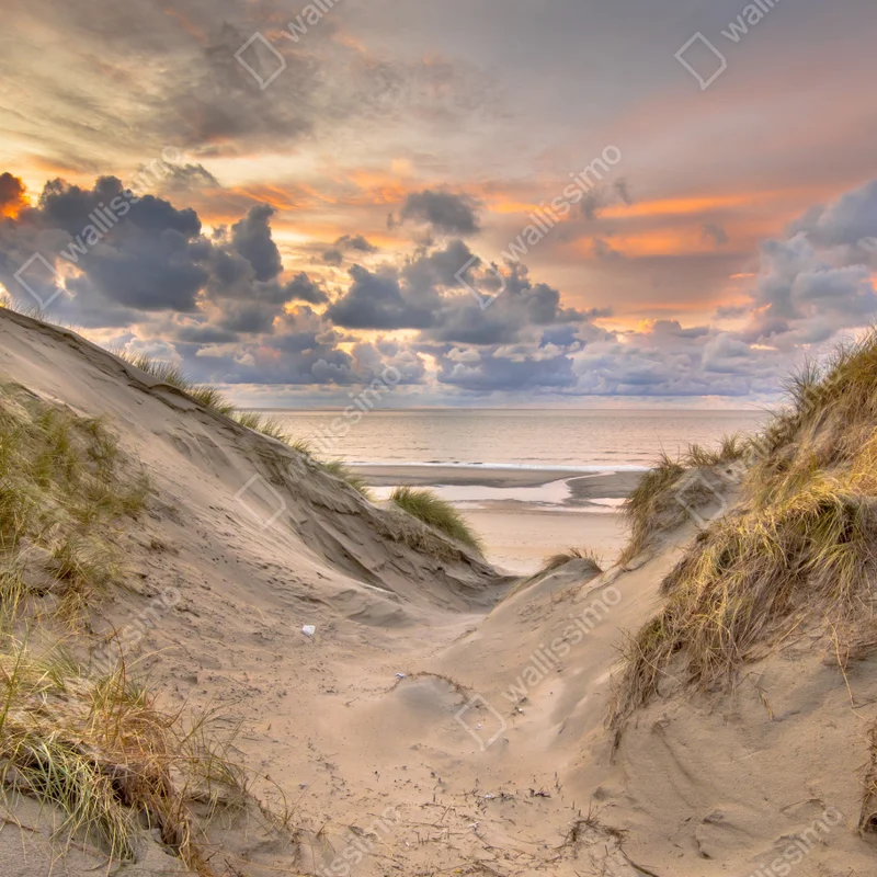 Fototapete sonnenuntergang über den dünen Fototapete sonnenuntergang über den dünen