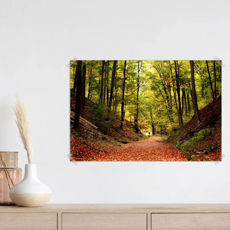 Poster herbstlicher waldweg unter grünem blätterdach • Poster bei Wallnifity® Poster herbstlicher waldweg unter grünem blätterdach • Poster bei Wallnifity®