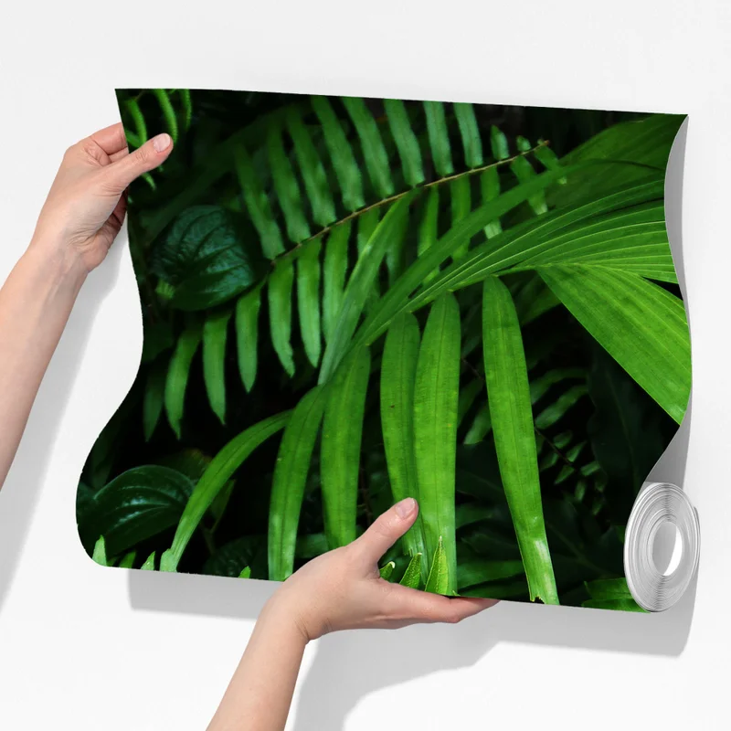 Fototapete üppige tropische farnblätter Fototapete üppige tropische farnblätter