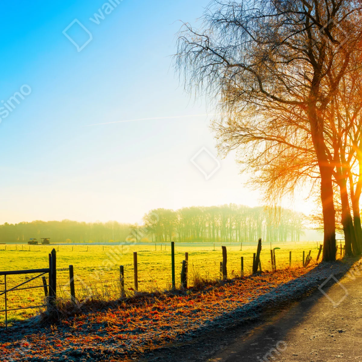Fototapete sonnenbeschienener landweg durch herbstliche wiese Fototapete sonnenbeschienener landweg durch herbstliche wiese
