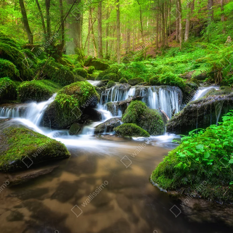 Fensteraufkleber ruhiger moosiger waldwasserfall Fensteraufkleber ruhiger moosiger waldwasserfall