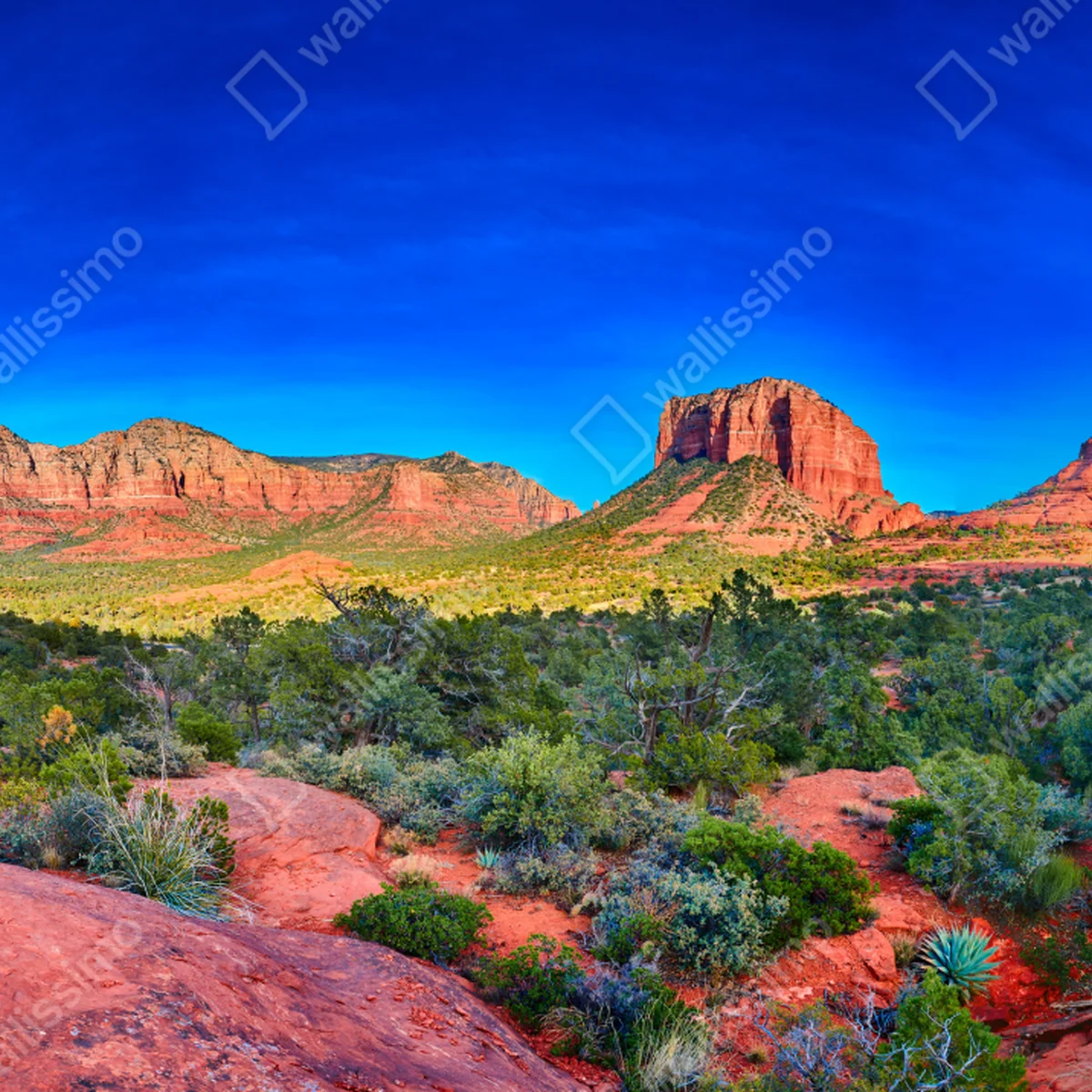 Fensteraufkleber panoramablick auf Bell Rock und Courthouse Butte, Sedona Fensteraufkleber panoramablick auf Bell Rock und Courthouse Butte, Sedona