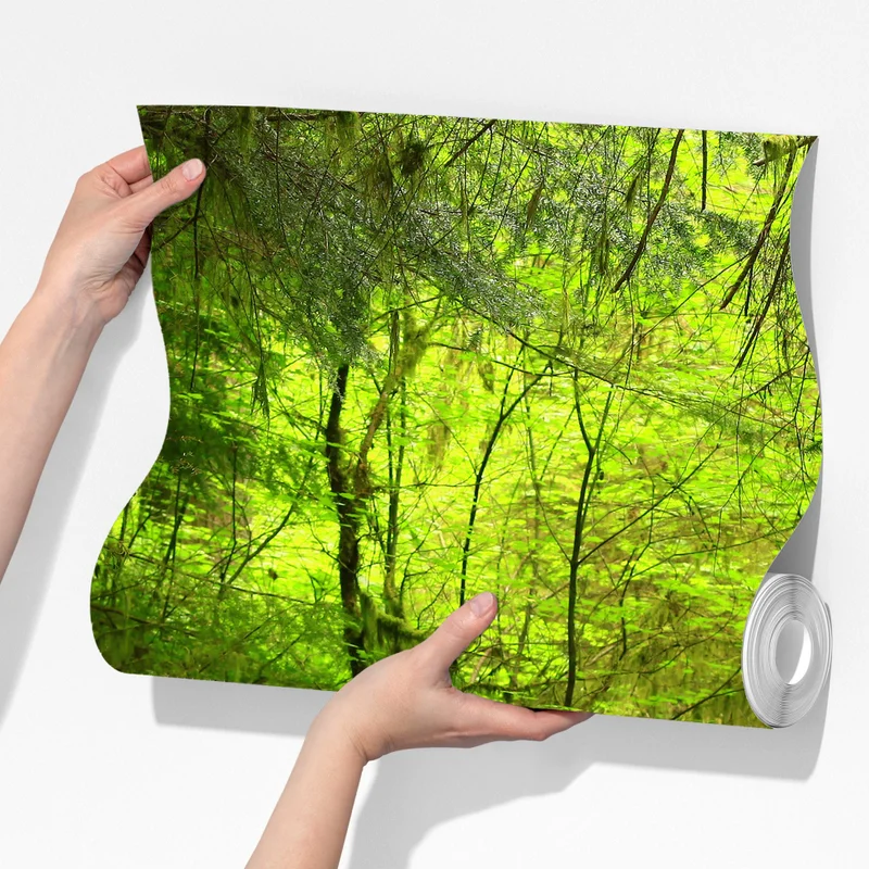 Fototapete ruhiger grüner waldsteg Fototapete ruhiger grüner waldsteg