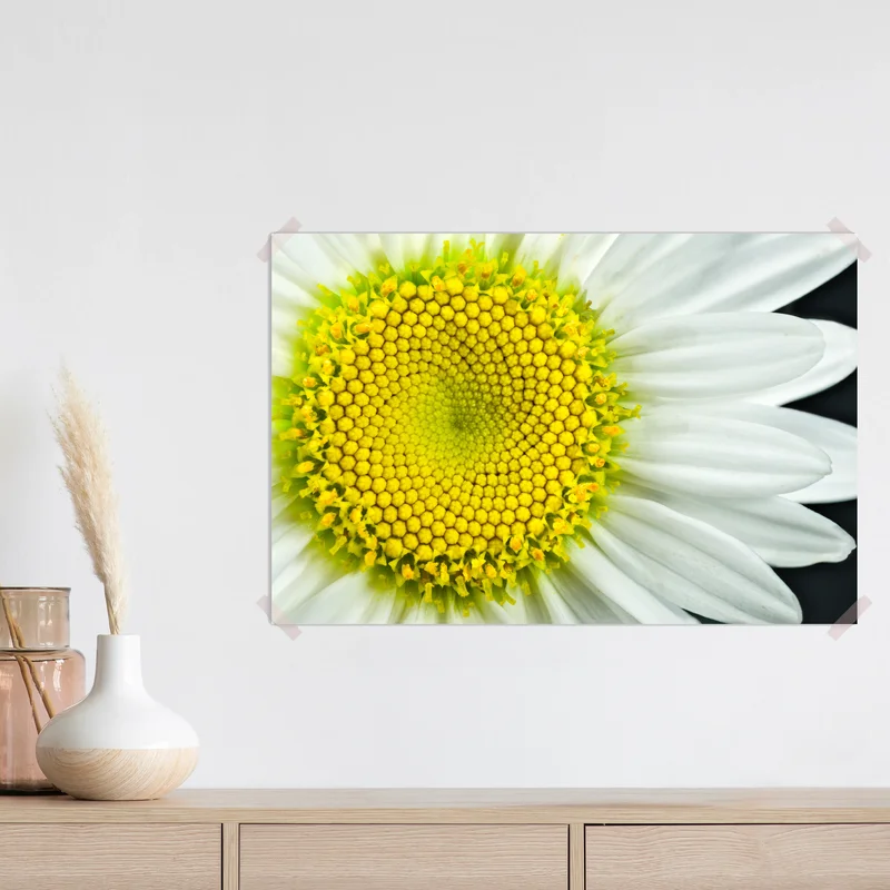 Poster makro gänseblümchen spiralmuster Poster makro gänseblümchen spiralmuster