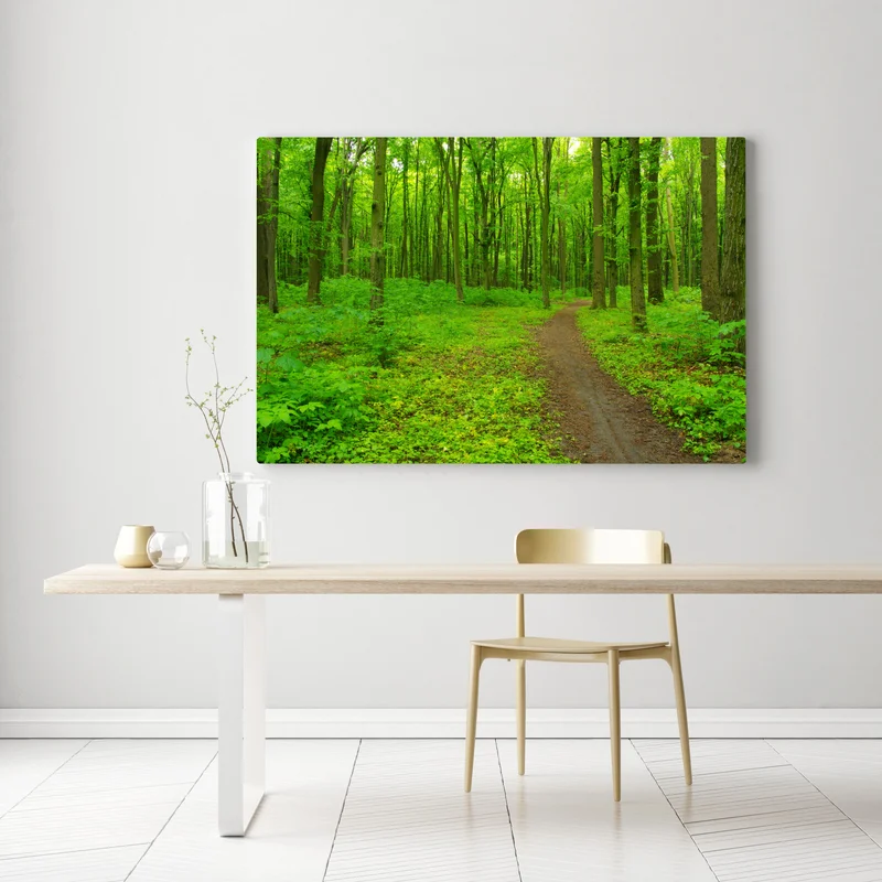 Leinwandbild beruhigender grüner waldweg Leinwandbild beruhigender grüner waldweg