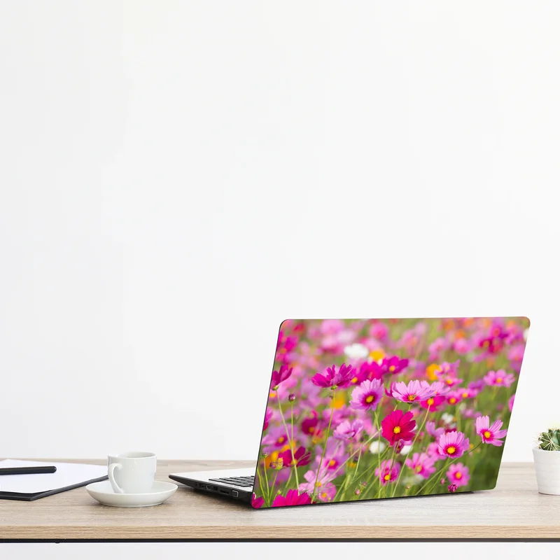 Naklejka na laptopa różowa łąka kosmosów w rozkwicie