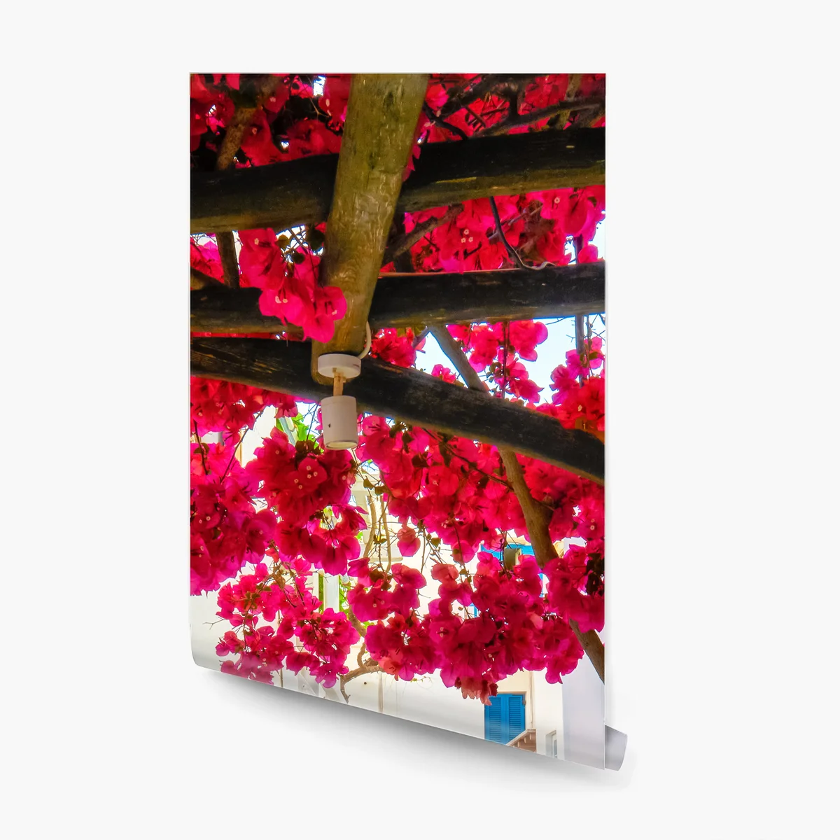 Fototapete sonnige gasse in Griechenland mit bougainvillea Fototapete sonnige gasse in Griechenland mit bougainvillea